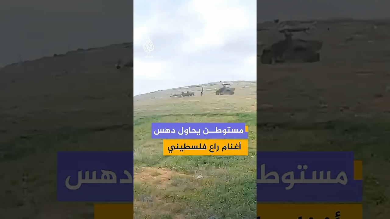 مستوطن يحاول دهس أغنام راعٍ فلسطيني