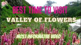 BEST TIME TO VISIT VALLEY OF FLOWERS  By DEVKANT SANGWAN (BLUE POPPY HOLIDAYS)