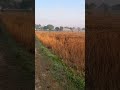 #song #travel #shortvideos #viralvideos