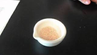 An Eggcellent Lab by Eggcellent Inc.