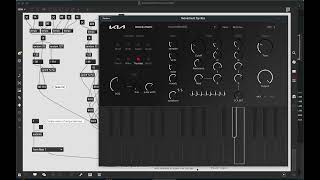 MAX8 patch controlling KIA move.ment synth