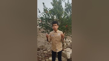 القارئ أحمد رزق
