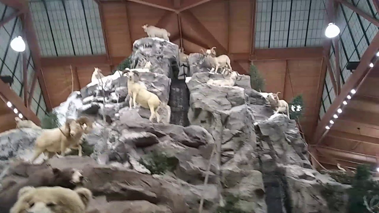 Cabela's Dundee michigan YouTube