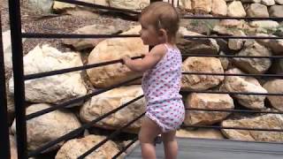 Evie crushing developmental milestones w/Spinraza (SMA Type 1)