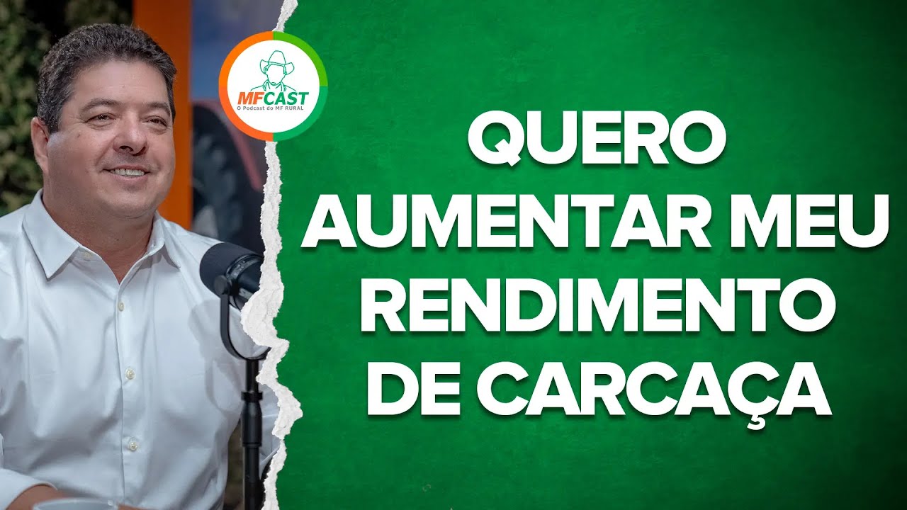 COMO AUMENTAR O RENDIMENTO DE CARCAÇA DO SEU REBANHO? - MF CAST #92