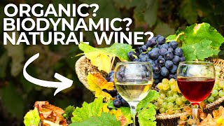 A Dive Into Organic, Biodynamic, Sustainable, Natural, and Vegan Wine by Fill of Pinot 342 views 4 months ago 8 minutes, 37 seconds