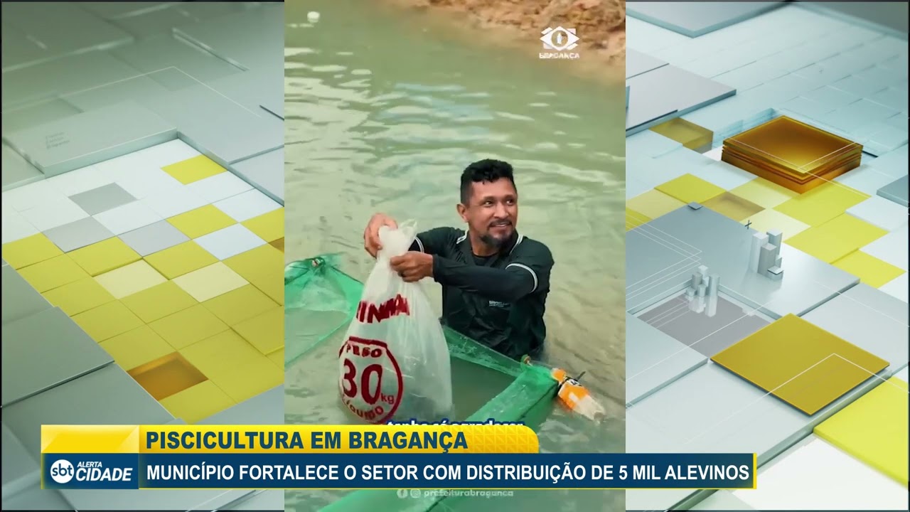 MUNICÍPIO FORTALECE O SETOR DE PISCICULTURA COM DISTRIBUIÇÃO DE 5 MIL ALEVINOS