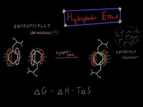 The Hydrophobic Effect and Entropy Biochemistry (EVERYTHING YOU NEED TO KNOW BIOCHEMISTRY)