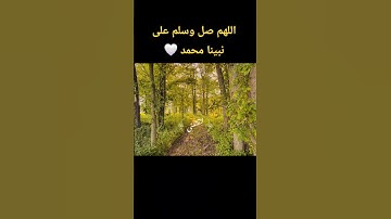 #quran #قرآن #قران_كريم #تلاوة_خاشعة #اكسبلور #الحناجر_الذهبيه #سيد_سعيد #راحة_نفسية #تلاوات
