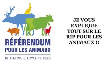 "référendum pour les animaux" je vous explique.