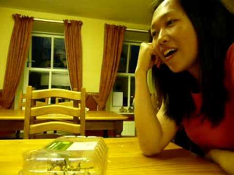 Ver Chinese wandering song no YouTube