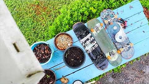 3 Minutes To Fenway (Official Lyric Video)