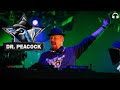 Frenchcore界の帝王　Dr. Peacockの人気曲まとめ