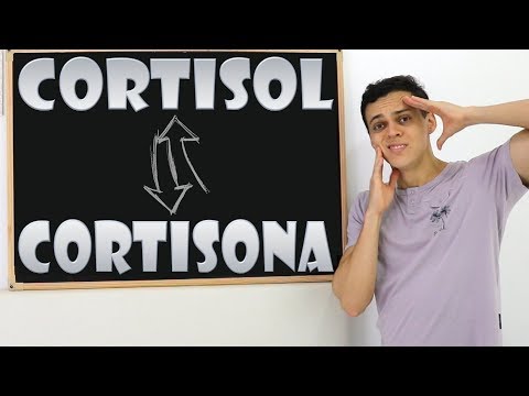 Vídeo: Diferença Entre Cortisona E Cortisol (hidrocortisona)