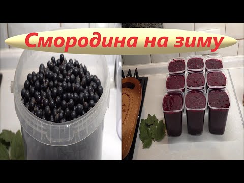 וִידֵאוֹ: איך מכינים דומדמניות שחורות לחורף