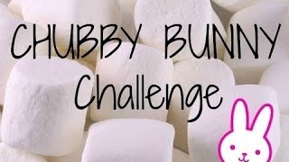 Download Lagu Challengs 1 met ceetje MP3