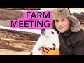 Farm Meeting: Cattle, bees and a Portrait of Toby Dog