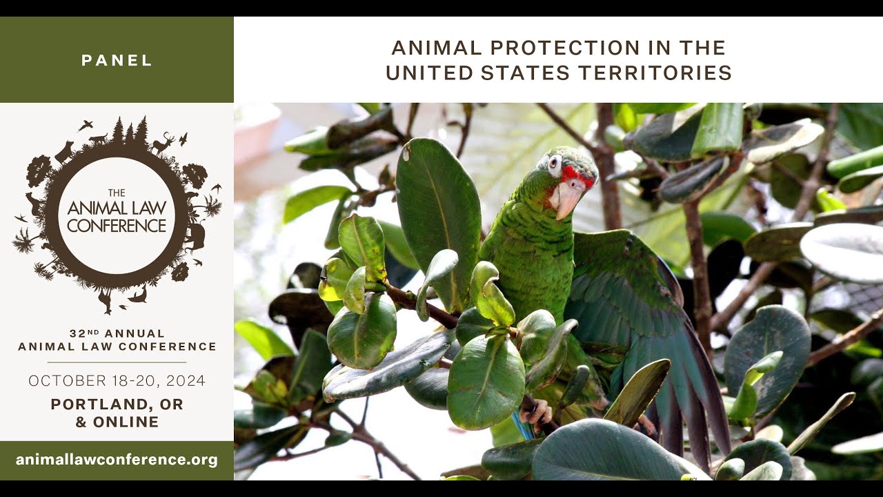 Animal Protection in the United States Territories