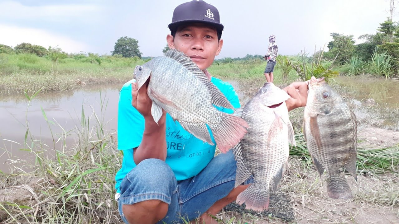 Mancing ikan nila babon di sungai hasilnya sungguh mengejutkan...