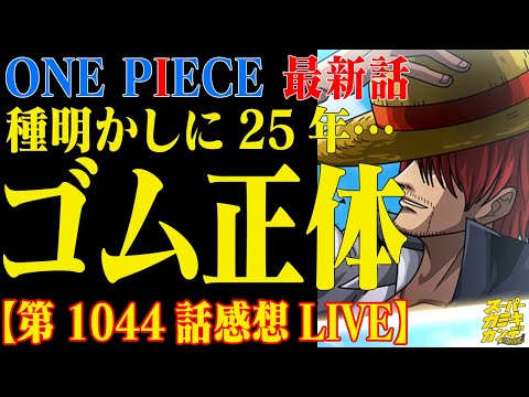 ワンピース最新話 ゴムゴムの実がゴムゴムの実だけどゴムゴムの実じゃないらしい 新情報 第1044話感想live Youtube