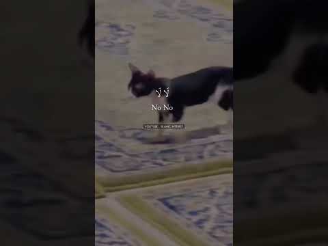      كن أنت       