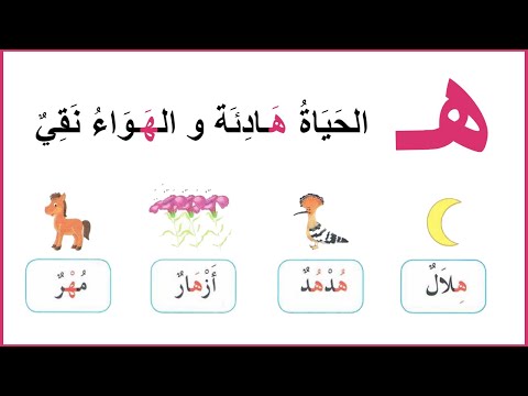 حرف الهاء سنة أولى إبتدائي الصفحة 47