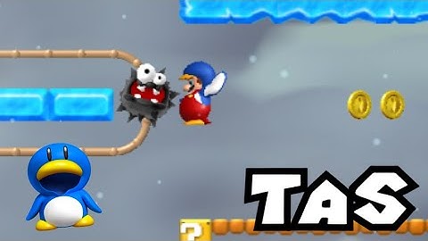 [TAS] New Super Mario Bros. Wii 9-5 100% IL (466.02)