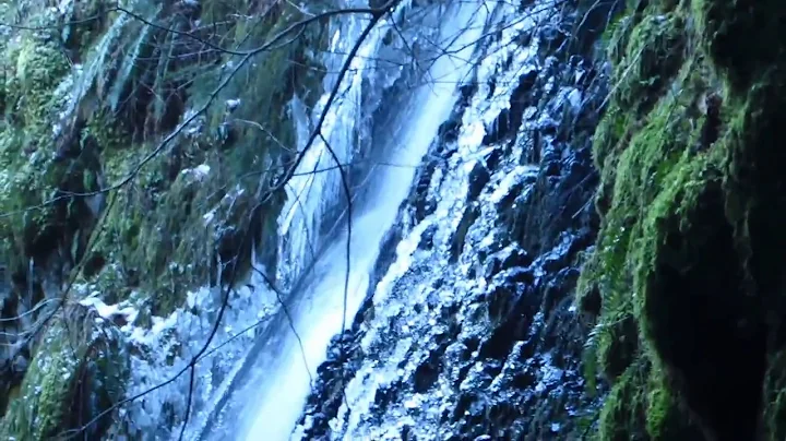 Cynthia Falls