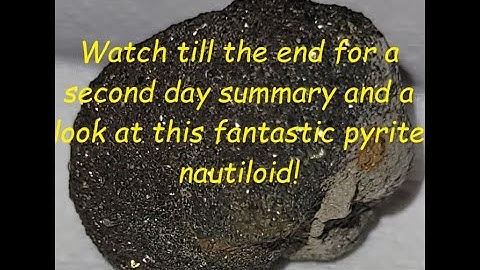 Texas Fossil Hunting - Group Day 5