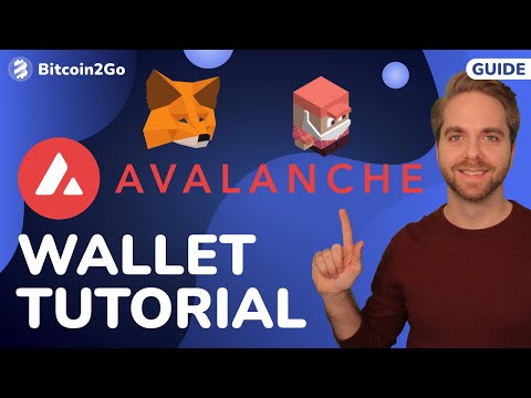 Avalanche (AVAX) Wallet Tutorial (MetaMask) + AVAX Bridge Airdrop & Börse (Trader Joe)