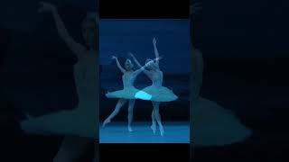 Divine Olga Smirnova Odette Variation Swan Lake Act 1 #shorts #amazing #best