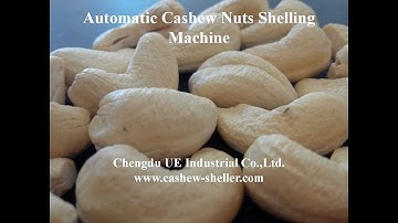 Cashew raw nuts grading machine
