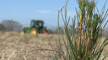 Future Forest | Planting Trees