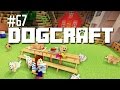 Thanksgiving Dinner | Dogcraft (Ep.67)