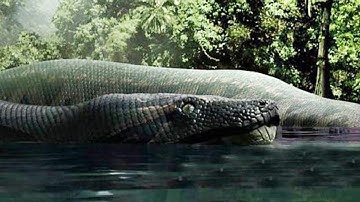 What If The Titanoboa Snake Didn