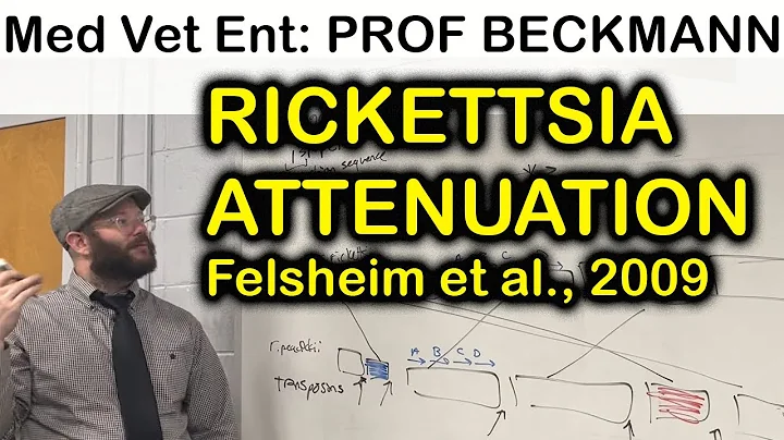 Rickettsia Attenuation: peacockii vs rickettsii: r...