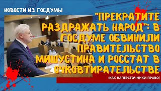 Прекратите раздражать народ:в Госдуме обвинили правительство Мишустина и Росстат в очковтирательстве