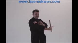 Learn the Basic Hapkido Short Stick Striking Drill