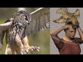 Is an Owl to Blame for Mysterious Death in Netflix Series 'The Staircase?'