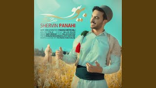 Bio Bio - Shervin Panahi