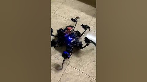 Robot nhện - Spider robot