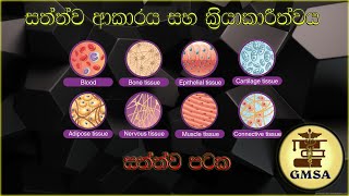 උසස් පෙළ ජීව විද්‍යාව,සත්ත්ව පටක By - Dilmi Tharushika