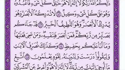 سورة الأنعام من آية 104 وحتى آية 121 بصوت الشيخ سعد الغامدي