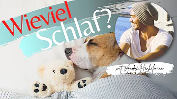 Wie viel schläft ein Hund pro Tag?