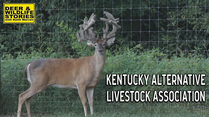 Kentucky Alternative Livestock Association | Deer ...