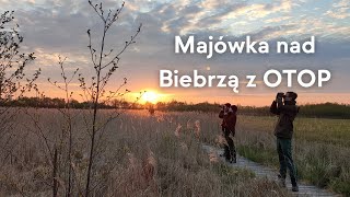 Majówka nad Biebrzą z Ogólnopolskim Towarzystwem Ochrony Ptaków  przeżyj to razem z nami