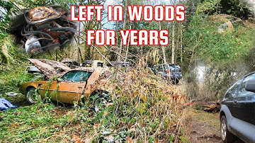 ROTTED OR NOT?? 1980s GOLD TRANS AM: Will it run, after sitting in the woods for years Is it savable