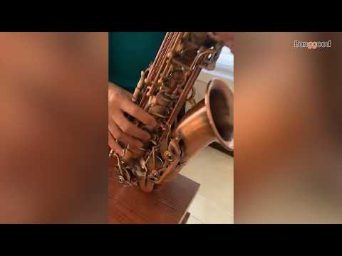 SLADE LD-896 E-flat Brass Pipe Alto Saxophone with Bag Clean Tools