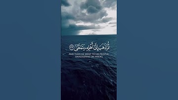 تلاوة عطرة من سورة القيامة بصوت القارئ ماهر المعيقلي #quran #قرآن #تلاوة_خاشعة #اذكروا_الله_يذكركم