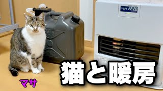 Purchased a heating device that my cat Masa loves.